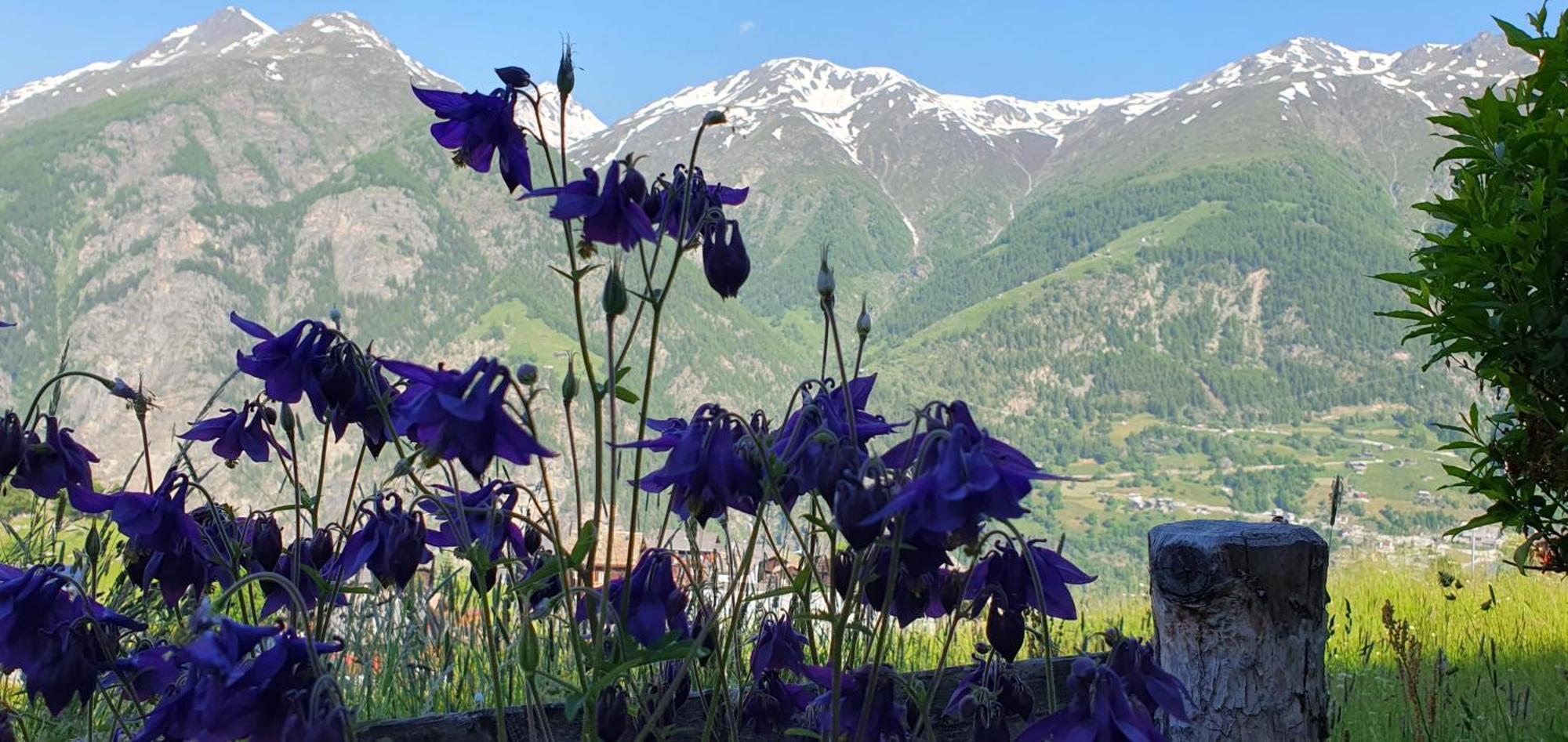 Chalet Schneevogul غراشن المظهر الخارجي الصورة